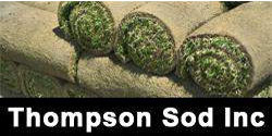 Thompson Sod Inc